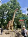 Návštěva zoologické zahrady v Plzni